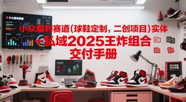 小众暴利赛道(球鞋定制，二创项目)实体+私域2025王炸组合  交付手册-知微分享