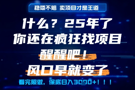什么?25年你还在疯狂找项目做,醒醒吧,看完这些你全都懂了!【揭秘】-知微分享
