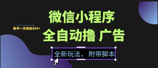 微信小程序全自动撸广告项目，彻底解决没流量的问题，新手一天8张+【揭秘】-知微分享